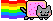 nycat