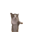desc
