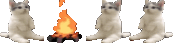 desc