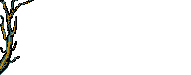 desc