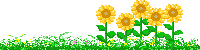 desc