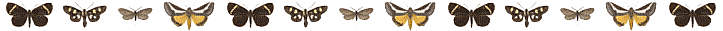 desc