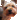 gizzy